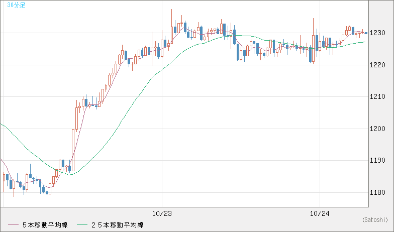 米ドル/ビットコインチャート（USD/XBT）30分足