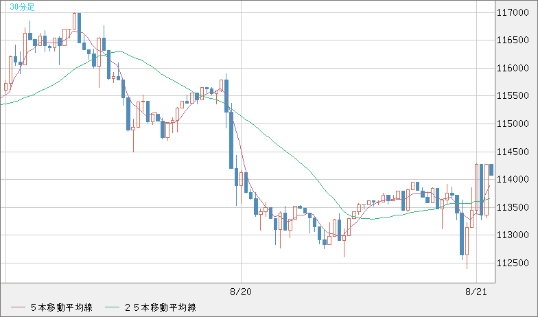 ビットコイン/米ドルチャート（XBT/USD）30分足