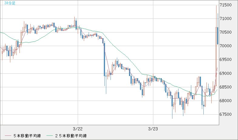 ビットコイン/米ドルチャート（XBT/USD）30分足