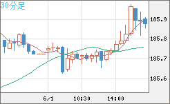 ユーロ/円チャート（EUR/JPY）30分足