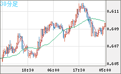ＮＺドル/米ドルチャート（NZD/USD）30分足