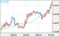 ＮＺドル/米ドルチャート（NZD/USD）30分足