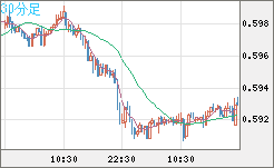 ＮＺドル/米ドルチャート（NZD/USD）30分足