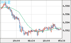 ＮＺドル/米ドルチャート（NZD/USD）30分足
