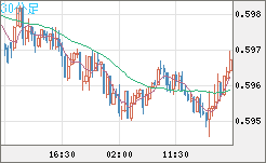 ＮＺドル/米ドルチャート（NZD/USD）30分足