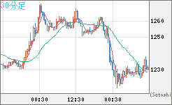 米ドル/ビットコインチャート（USD/XBT）30分足