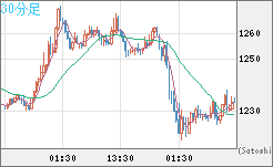 米ドル/ビットコインチャート（USD/XBT）30分足