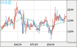 米ドル/ビットコインチャート（USD/XBT）30分足