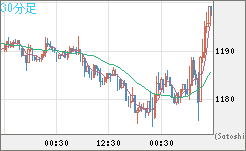 米ドル/ビットコインチャート（USD/XBT）30分足
