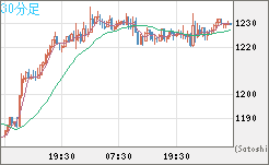 米ドル/ビットコインチャート（USD/XBT）30分足