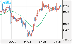 米ドル/ビットコインチャート（USD/XBT）1時間足