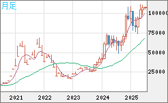 ビットコイン/米ドルチャート（XBT/USD）月足