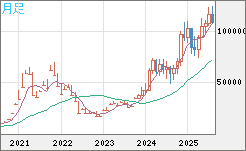 ビットコイン/米ドルチャート（XBT/USD）月足