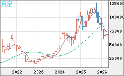 ビットコイン/米ドルチャート(XBT/USD)月足