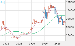 ビットコイン/米ドルチャート(XBT/USD)月足