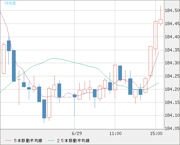 ユーロ/円チャート（EUR/JPY）30分足