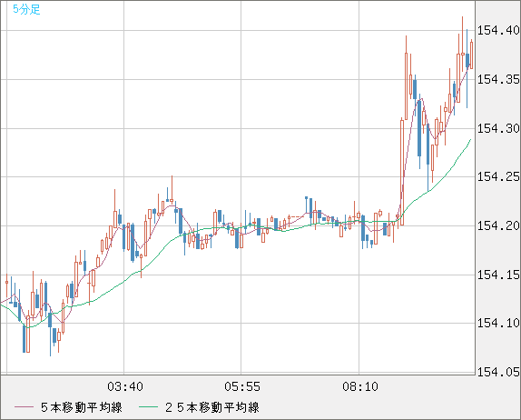まとめ売り イミテーション パール 複数 楽天市場】システム手帳リフィル 2026年 月間ダイアリー5